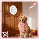 Valentines Day Door Decorations, Valentine Sign for Front Door Indoor Outdoor Porch Wall Decor, Valentine's Day Hanger for Dog Lovers Party Decoration - B04