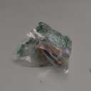 Papo Fantasy World Figure, Lion Mutant, multicolor