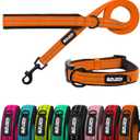azuza Durable Padded Dog Leash and Collar Set,Reflective Strip Extra Safe and Comfy for Large Dogs, Orange