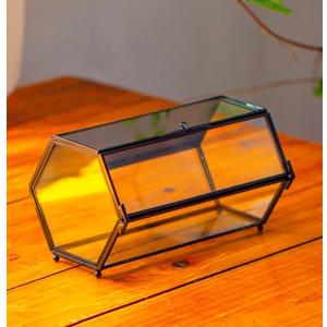 NCYP Small Glass Enclosure Terrarium with Mesh & Door for Tiny Beetle - Hexagon Jumping Spiders Vented Glass Terrarium 7.87'' x 4.52'' x 3.93'', Black