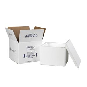 Aviditi 214C Insulated Shipping Containers, 9 1/2"L x 9 1/2"W x 7"D