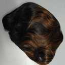 showreal Pixie Cut Wig Human Hair for Women Highlight Brown Short Straight Wigs 100% Real Human Hair Pixie Cut Wig with Bangs Layered Virgin Hair Glueless Natural Short Wig (9149-1B/30)