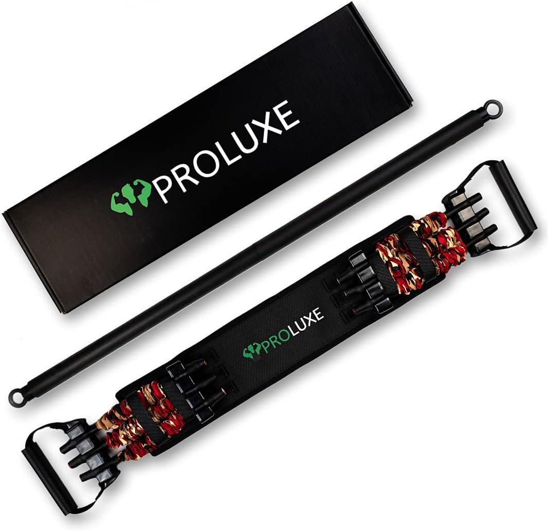 Gymproluxe Original Resistance Bands Bar Set - Exercise Band Set for Home Gym (80 LBS)