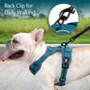 PoyPet No Pull Dog Harness, No Choke Reflective Dog Vest, Adjustable Pet Harnesses with Easy Control Padded Handle for Small Medium Large Dogs(Tumalo Teal,S)