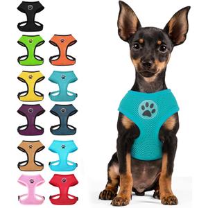 BINGPET Small Dog Harness, No Pull Dog Harness Small Sized Dogs, Soft Light Breathable Mesh Puppy Vest with Safety Buckle-Adjustable Step in Pet Harnesses for Easy Walking, Running, Training