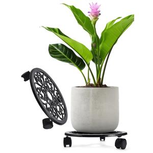 2WAYZ Plant Stand with Wheels - Heavy-Duty Rolling Plant Caddy - Dolly Base with Roller for Large Potted Plants and Flower Pot - Ideal for Indoor and Outdoor Planters - Set of 1 - Black