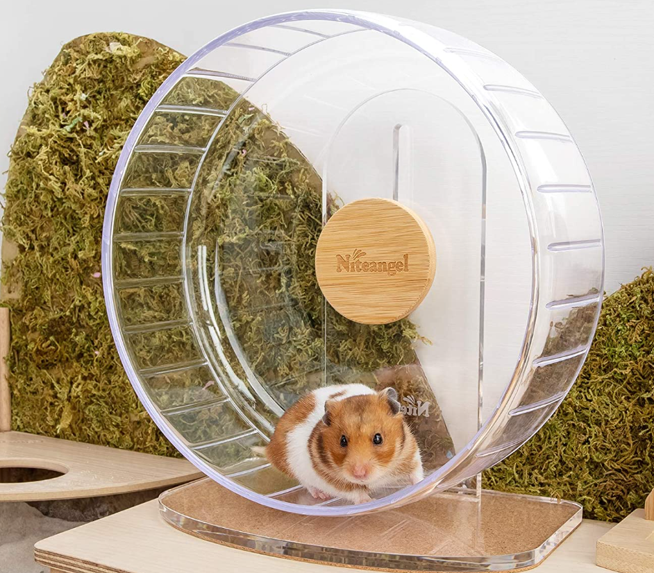 Niteangel SuperSilent Hamster Exercise Wheels  Quiet Spinner Hamster Running Wheels with Adjustable Stand for Hamsters Gerbils Mice Or Other Small Animals (M, Transparent)