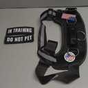 JUSTYEZI Essential Dog Harness with 3 Leash Clips - No-Pull, Adjustable, Comfortable Pet Vest Harness for Small to Large Dogs - Easy On, No Choke, Reflective, Padded Harness for Walking and Training (XS(Neck:11-14",Chest:14-16"), Turquoise)