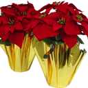 2 PCS Big 17.5" H Real Velvet Artificial Poinsettia Paper Pot w 7 Big Flower Heads (@ 11" W) for Christmas Decoration at Home Door Entryway Living Room Stair Corridor Office Shop (Xmas Decor) (Red)