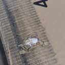 Sauder Select Storage Cabinet/ Pantry cabinets, White finish