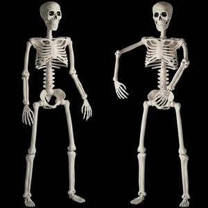 HBSTK 2 Pack 36 Inches Halloween Skeleton Full Body Posable Movable Jonints for Halloween Decoration Dcor, 2 Pack 40Inch Skeleton