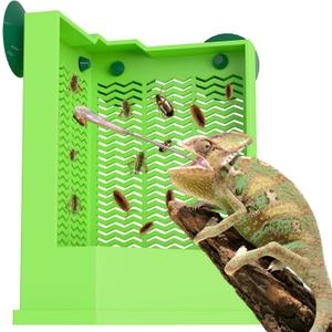 Pawfly Reptile Feeder Bowl - Escape-Proof Corner Hunting Dish, Wall-Mounted Insect Feeder for Bearded Dragons, Chameleons, Geckos, Frogs & Lizards with Suction Cups (Large)