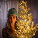 2 x Christmas Lights 33ft 100 LED Battery String Lights with Timer Memory Function USB or Battery Powered Waterproof String Lights for Indoor Outdoor Decoration (Warm White)