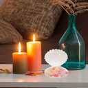 Veemoon Sea Shell Candy Boxes, 10pcs Sea Clam Favor Box Plastic Chocolate Container Seashell Jewelry Case Party Seashell Holder for Wedding Birthday Beach Party Decorations, White