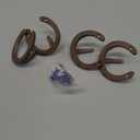 4 PCS Coat Hooks Cast Iron Wall Hooks Horseshoe Hooks Vintage Hanger for Hanging Coat Hat Bags Key Towel(Rust)