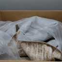 8x10 Area Rugs Living Room Rug: Washable Rug Neutral Lagre Soft Thin Carpet Indoor Floor Non Slip Boho Geometric Moroccan Carpets for Bedroom Dining Room Farmhouse Nursery Office - Beige