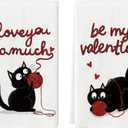 Artoid Mode Black Cats Ball Love Hearts Valentine's Kitchen Towels Dish Towels, 18x26 Inch Anniversary Wedding Decoration Cleaning Set of 2