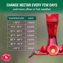 Perky-Pet Hummingbird Nectar Concentrate for Hummingbird Feeder - 32 oz - Makes 96 FL OZ of Food Nectar - 238CL