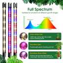 Wolezek Grow Lights for Indoor Plants, 100 LEDs Full Spectrum Plant Lights for Indoor Growing with Adjustable Stand, 5-Heads Grow Lamp with Auto 6/12/16H Timer, 3 Light Modes, 5 Levels Dimmable
