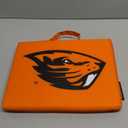 Logo Brands Officially Licensed NCAA Unisex Bleacher Cushion, One Size, Team Color (14" x 14" x 1")