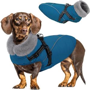 Queenmore Dog Coat,Windproof Dog Coat for Medium Dogs,Dogs Jackets with Harness Built in,Waterproof Doggy Coats with Zipper On Back,Reflective Cold Weather Coats for DachshundBoston Terrier,Blue,M