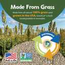 SmartCat All Natural Clumping Cat Litter - Chemical and Dust Free - Alternative to Clay and Pellet Litter - Unscented and Lightweight - 5 Pounds