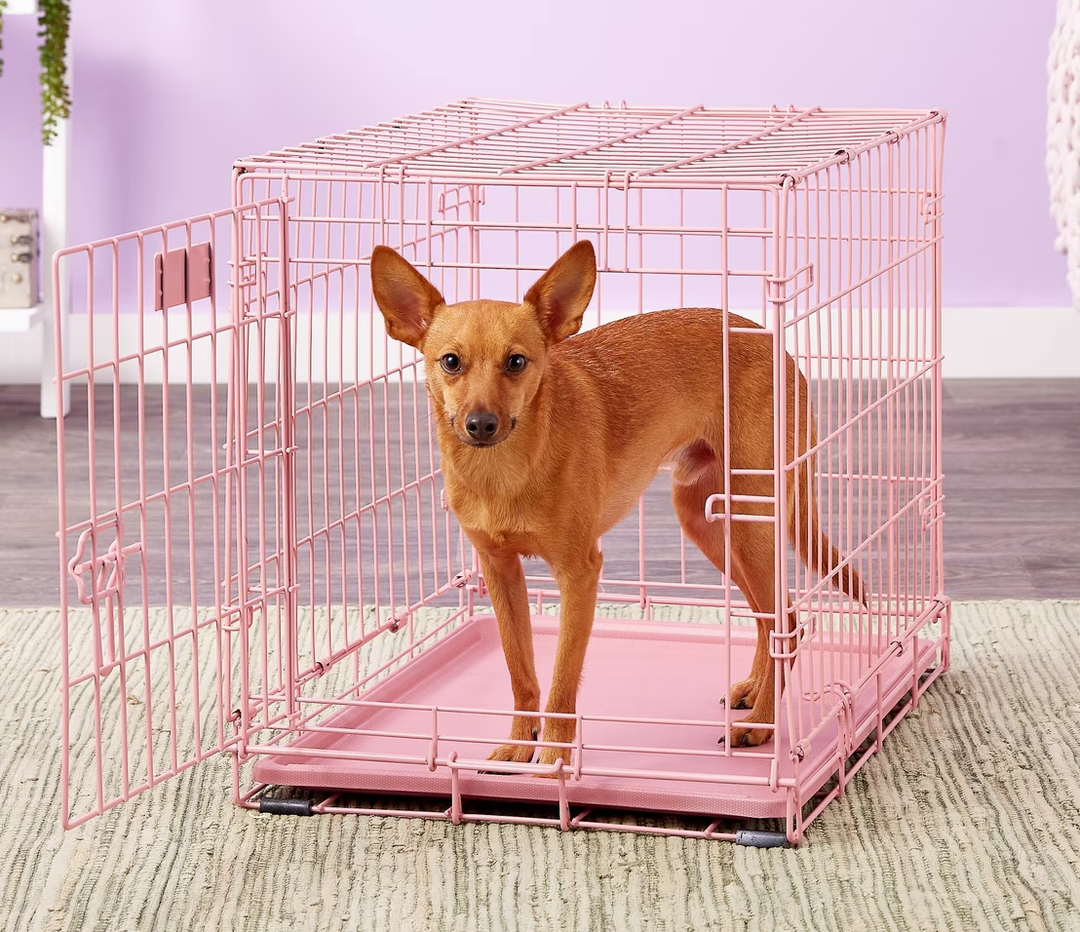 MidWest Homes for Pets 24-Inch Pink Fashion iCrate for Small Breeds, 12-20 lbs, Single Door Folding Dog Crate with Divider Panel, Leak-Proof Tray & Secure Latch, Portable, Durable & Easy to Assemble