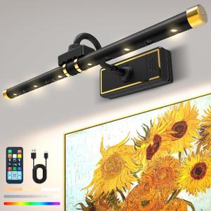 Laliled Picture Light Battery Operated (Black)