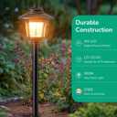 EDISHINE Low Voltage Landscape Lights, 12V 3W 120LM 3000K Seed Glass Outdoor Landscape Path Lights with Connectors, ORB Waterproof Electric LED Pathway Light Wired for Walkway Garden Yard, 6 Pack