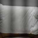 Hotel Grand Goose Feather Down Fiber Pillows Queen Size Set of 2, 100% Cotton Cover, Medium Firm, Hotel Collection 2Inch Gusseted Bed Pillows for Back, Stomach or Side Sleepers, 18"x26", White