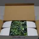 Der Rose 4 Pack Fake Plants Mini Artificial Greenery Potted Plants for Home Decor Indoor Office Table Room Farmhouse Bathroom Decor