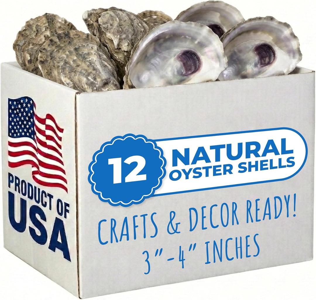 Tumbler Home Oyster Shells for Crafts, 12pcs, 4"- 5" Large Oyster Shells for Crafting, Decoupage, Christmas Ornaments, Wreaths, Weddings, Beach Décor, DIY Arts & Crafts. Bulk. Farmed in USA