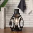 JHY DESIGN Decorations Table Lamp Battery Powered 9.5''High Vase Shaped Cordless Lamp with 6-Hours Timer Feature LED Light Decorative Room Battery Lamp for Indoor Table Garden Party (Tall)