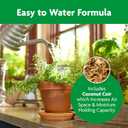 Miracle-Gro Indoor Potting Mix, Blended for a Variety of Houseplants, Feeds for up to 6 Months, 6 qt, 2-Pack