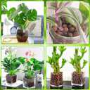 Halatool 8LB Clay Pebbles for Plants 4mm-16mm Lightweight Hydroton Leca Balls for Indoor Potted Plants Hydroponics Gardening Orchids Drainage Decoration Aquaponics