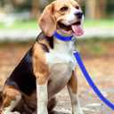 Taglory Dog Leash for Medium Large Dogs, Double-Sided Reflective Leash with Soft Neoprene Padded Handle, 1 inch by 6 ft, Fit Medium Large Breeds 20-150 lbs, Navy Blue