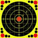 Anwyll Shooting Splatter Targets Stickers - 15Pcs 12'' Targets for Shooting Range Reactive Paper Shooting Target Adhesive Shoot and See Target for BB Pellet Gun Pistol Airsoft Rifle Shoot Practice