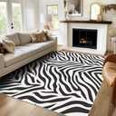 Zebra Print Rug 2x3 Throw - Black and White Zebra Striped Area Rug for Entryway, Bedroom, Home Decor - Animal Print Indoor Door Mat - Washable & Non Slip Lo129