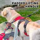 PUPTECK Escape Proof Dog Harness and Leash Set Upgraded No Pull Reflective Dog Vest with Lift Handle, Easy Control Pet Harness for Medium Large Dogs Training Walking Running - Large