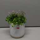 HD Designs Bloom Greenery, 4 in 