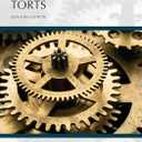 Understanding Torts (Understanding Series), Book 