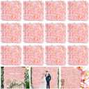 Flower Wall Panel Wedding Backdrop: 24 Pcs Blush Artificial Flower Wall Backdrop 3D Silk Hydrangea Floral Wall for Bridal Shower Party Birthday Decoration (15 x 15 Inch)
