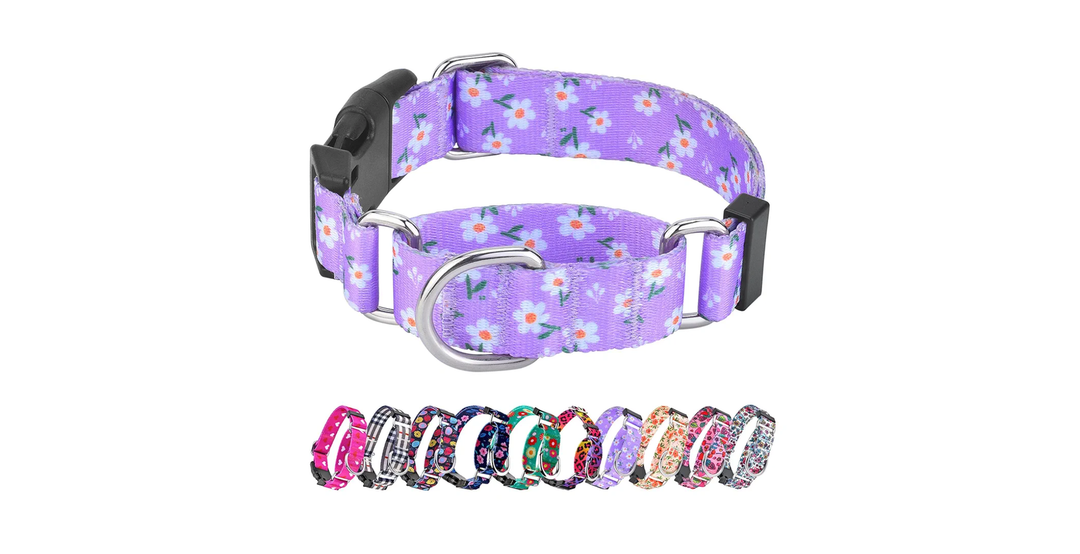 Martingale Collar for Dogs, Adjustable Soft Nylon Dog Collars with Special Design Cute Patterns for Small Medium Large Dog