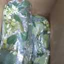 6pcs Artificial Eucalyptus Garland, 5.91 Feet Faux Greenery Artificial Hanging Fake Leaves Vines for Wedding Backdrop Arch Table Wall Party Home Mantle Decor(Eucalyptus Garland Fruits)