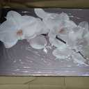 Orchid Canvas Wall Art Bathroom Wall Decor Gray Posters White Floral Painting Prints Modern Artwork for Living Room Bedroom Home Office Decor Framed(Flowers-5,16.00"x24.00")