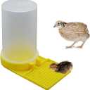 Baby Bird Button Quail Yellow Water Feeder