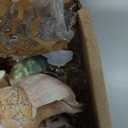 JQAQJU Sea Shells Mixed Beach Seashells 20 Kinds, 1.5"-5.5" Various Sizes Large Ocean Shells Conch 2 Kinds Natural Starfish for Decorating Beach Theme Party Fish Tank Filling Home Decor Wedding