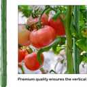 FEED GARDEN Garden Stakes 36 Inch 3ft 25 Pack, Sturdy Plant Metal Sticks Support, Plastic Coated Plant Stakes, Tomato Stakes, Beans, Trees