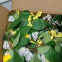 4 Pcs Artificial Lemon Flower Garland Vine, 28 Ft Fake Yellow Lemon Vines Silk Flowers Hanging Floral Garlands Decoration for Room Wall, Flower Themed Party, Wedding Supplies