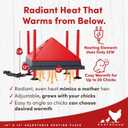 RentACoop 12x12 Adjustable Heating Plate with Bonus Foldable Anti-Roost Cone for up to 20 Chicks | Chick Brooder Heat Plate Energy-Efficient 22-Watt Chick Heater - Safer Than Heat Lamps